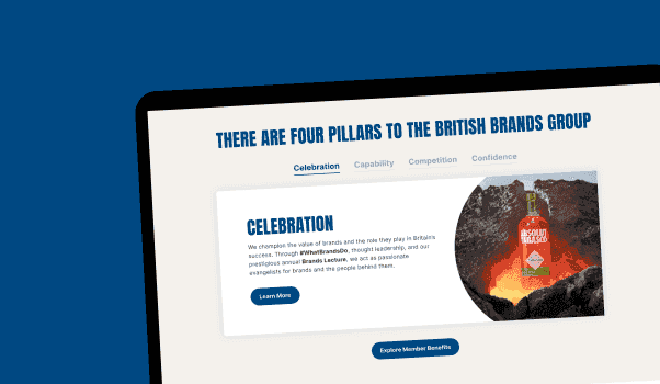 Ongoing website support and platform management